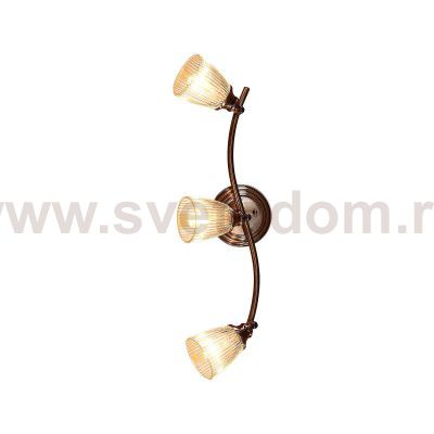 Светильник настенно-потолочный Citilux CL539531 Виндзор