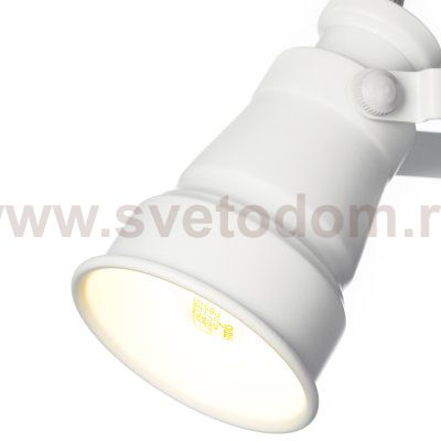 Спот поворотный Citilux CL541510 Бейкер