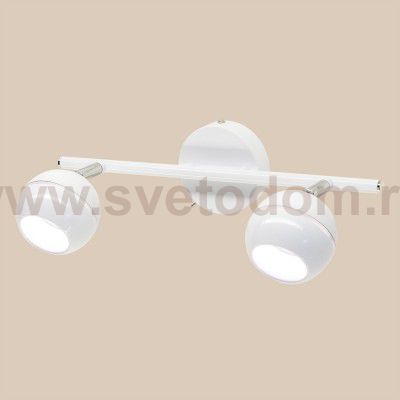 Спот поворотный Citilux CL555520 Раймонд