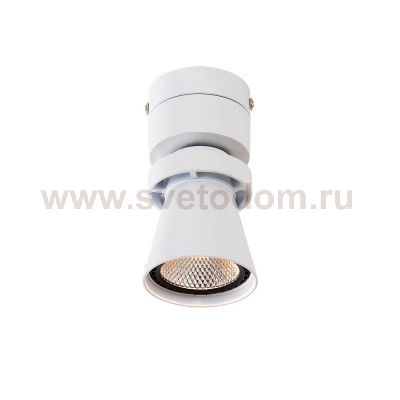 Светильник настенно-потолочный Citilux CL556510 Дубль-1