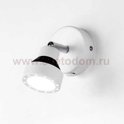 Светильник настенно-потолочный Citilux CL557511 Данди