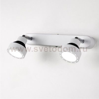 Светильник настенно-потолочный Citilux CL557521 Данди