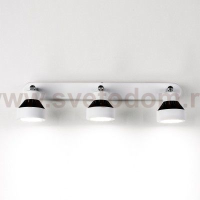 Светильник настенно-потолочный Citilux CL557531 Данди