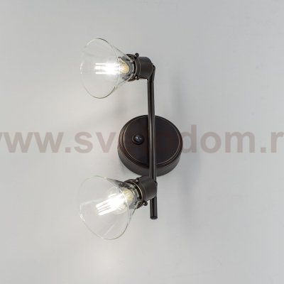 Спот поворотный Citilux CL564521 Бисмарк