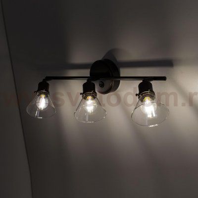 Спот поворотный Citilux CL564531 Бисмарк