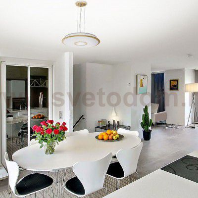 Светильник подвесной CL70362RS Citilux СТАРЛАЙТ (без подвеса)