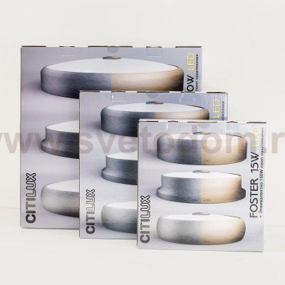 Светильник накладной Citilux CL706210 Фостер-2