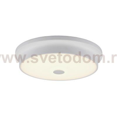 Светильник накладной Citilux CL706230 Фостер-2