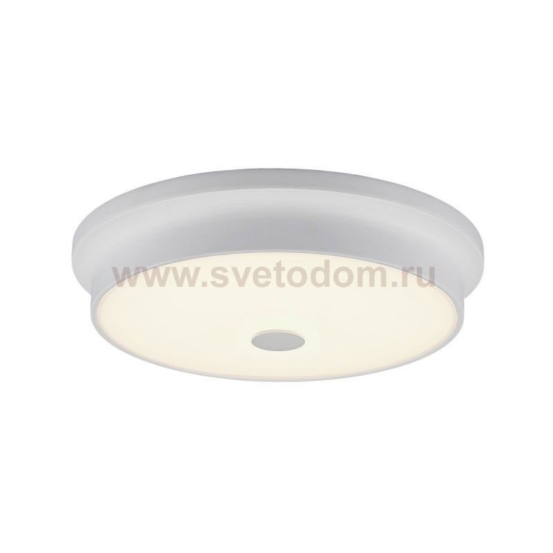 Светильник накладной Citilux CL706230 Фостер-2