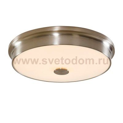 Светильник настенно-потолочный Citilux CL706231 Фостер-2