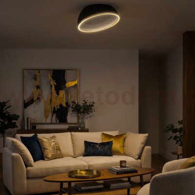 Citilux FLOOM CL736151 Светильник потолочный с пультом Чёрный+Золото