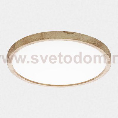 Светильник накладной Citilux CL738242V Бейсик