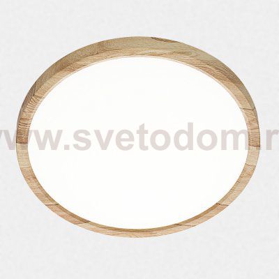 Светильник накладной Citilux CL738242V Бейсик