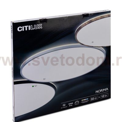 Светильник накладной Citilux CL748601 NORMA