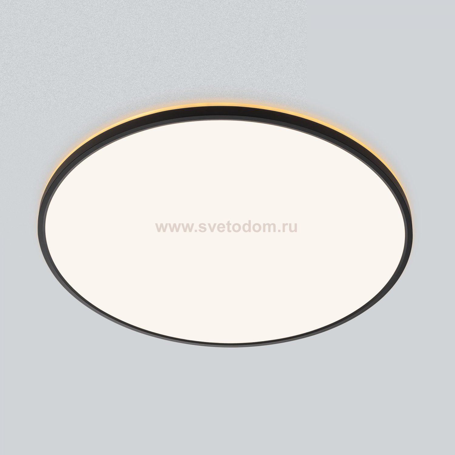 Светильник накладной Citilux CL748601 NORMA