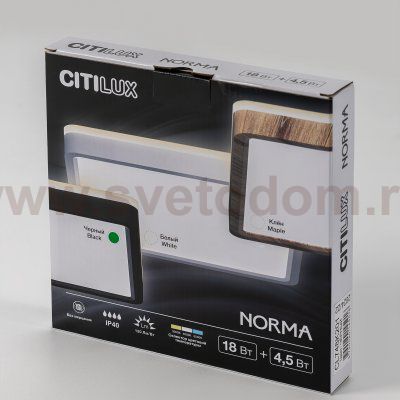 Светильник накладной Citilux CL748K201 NORMA