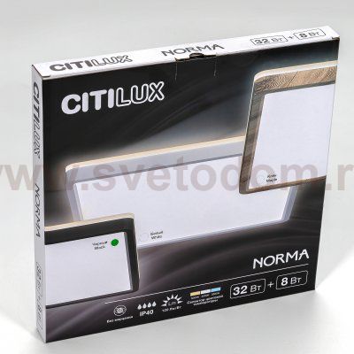 Светильник накладной Citilux CL748K301 NORMA