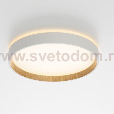 Светильник накладной Citilux CL750240 ETALON