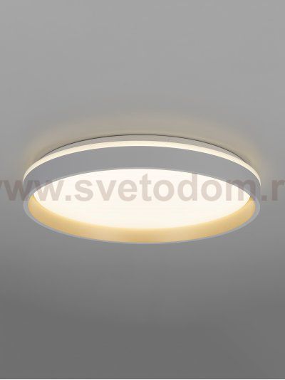 Светильник потолочный Citilux CL753450G ENZO