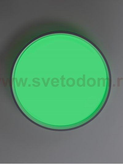 Светильник потолочный Citilux CL753453G ENZO