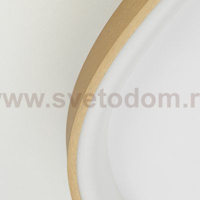 Citilux GENKA SMART CL756A162 LED RGB Умная люстра