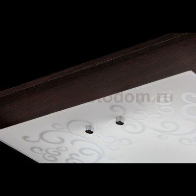 Настенно - потолочный светильник Maytoni FR4811-CL-03-BR Geometry Constanta Constanta