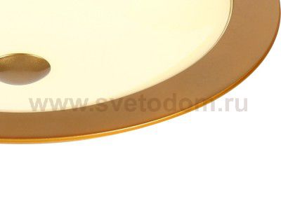 Светильник Maytoni CL815-PT50-G Euler Euler