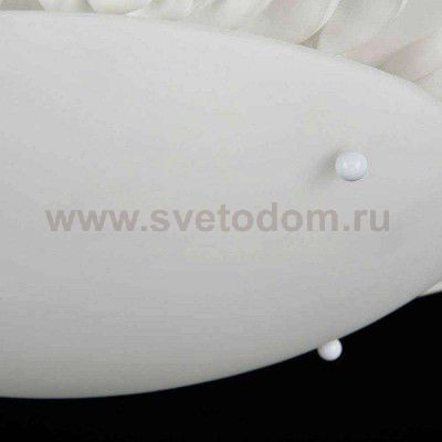 Потолочный светильник Maytoni CL901-04-W Tamina Tamina