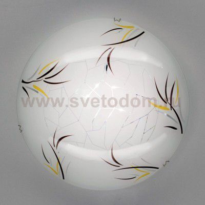 Светильник настенно-потолочный Citilux CL917009 Ива