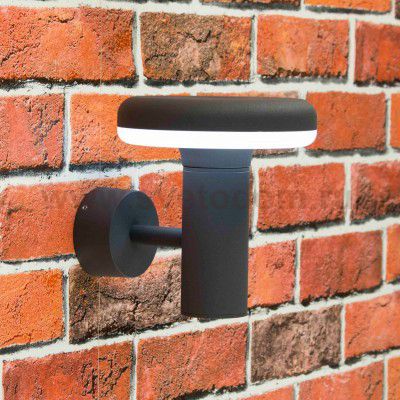 Уличный настенный светильник Citilux CLU01W