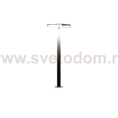 Светильник уличный парковый Citilux CLU03B2