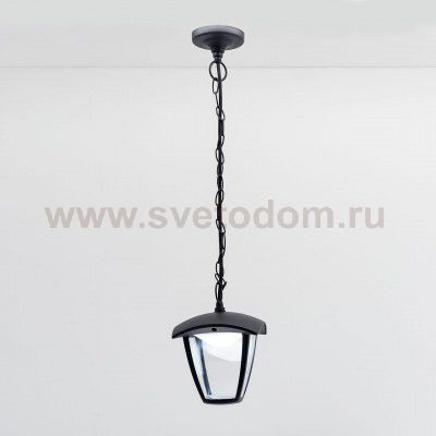 Уличный подвесной светильник Citilux CLU04P