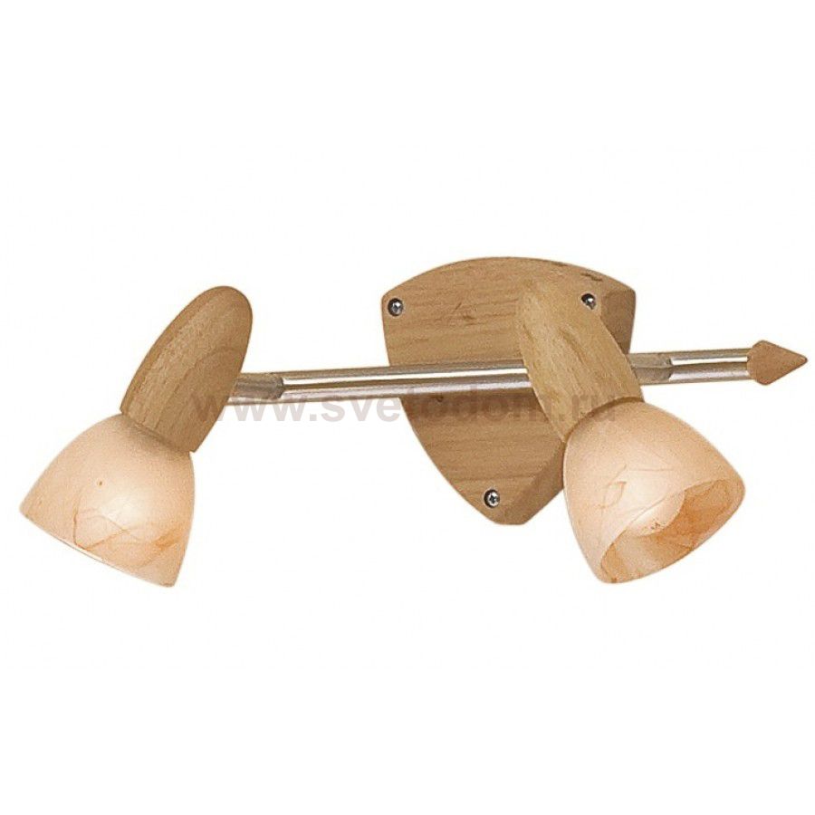 Светильник поворотный спот Citilux CL505521 Монте