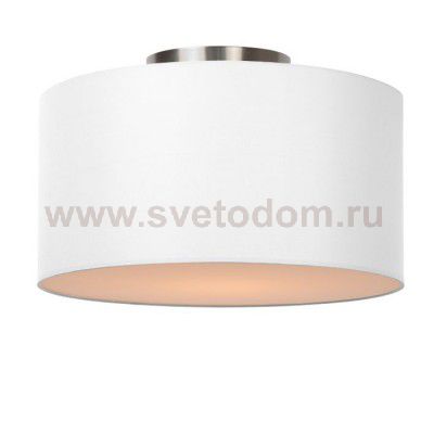 Топдекор Crocus P2 01 01 Потолочный светильник 