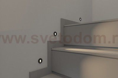 Светильник Denkirs DK1011-DG