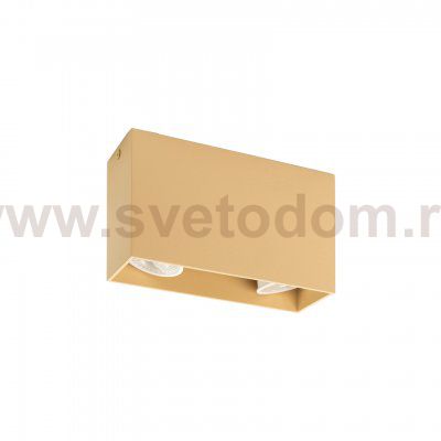 Светильник Denkirs DK2028-CO