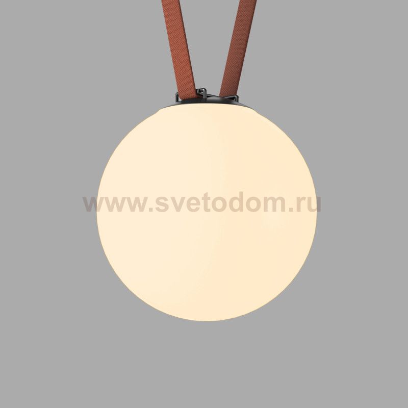 Светильник на шине Denkirs DK5555-BK BELTY ORB