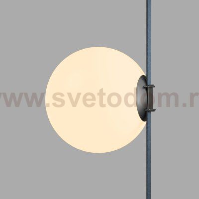 Светильник на шине Denkirs DK5555-BK BELTY ORB