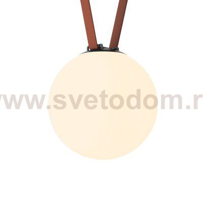 Светильник на шине Denkirs DK5555-BK BELTY ORB