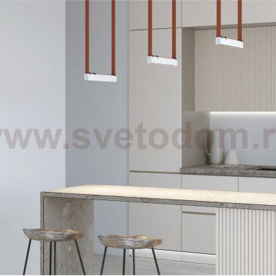 Светильник на шине Denkirs DK5571-WB BELTY GRILL
