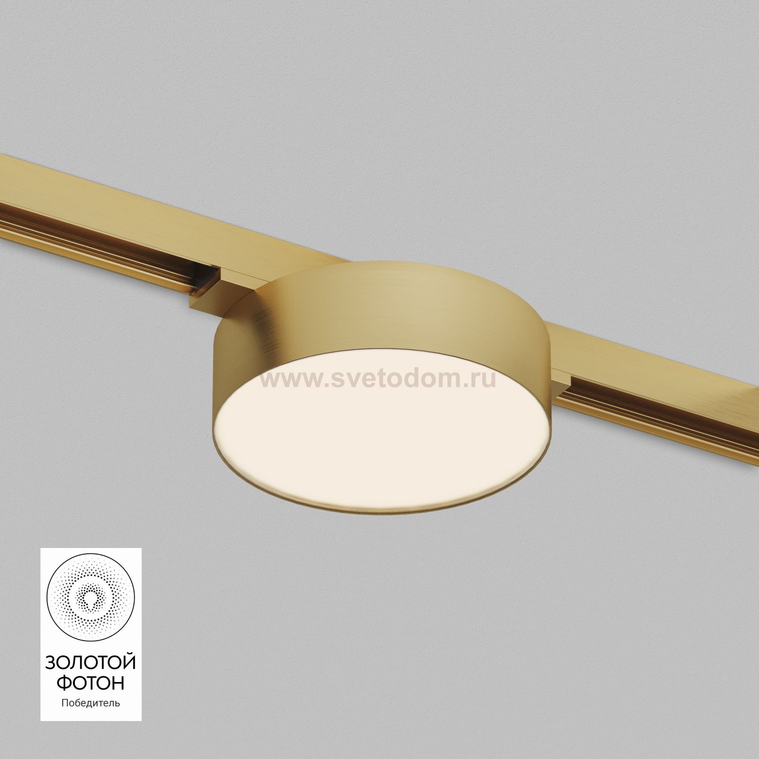 Светильник на шине Denkirs DK5762-SB SHINE FLOW