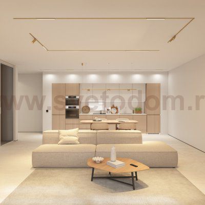 DK5943-SB Светильник трековый SHINE SPOT ZigBee, 48В, 8Вт, 2700-6000K, IP20, сатин. латунь, алюминий