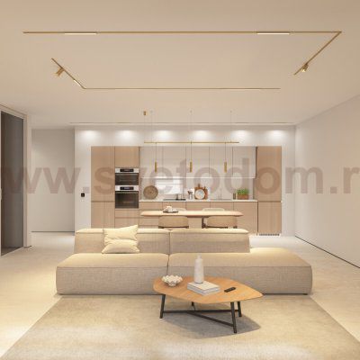 DK5944-SB Светильник трековый SHINE SPOT ZigBee, 48В, 8Вт, 2700-6000K, IP20, сатин. латунь, алюминий