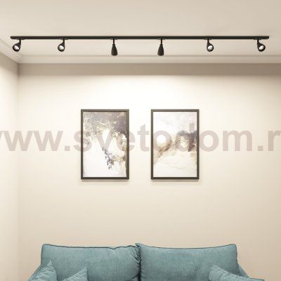 Светильник на шине Denkirs DK6050-BK BELL