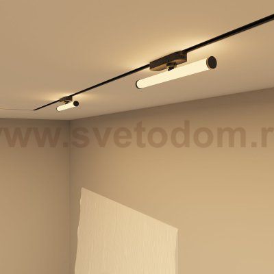 Светильник на шине Denkirs DK6438-BK Strom