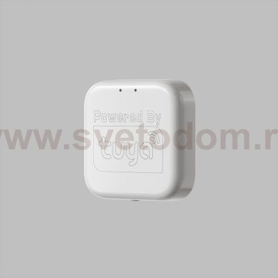 WIFI Converter SMART Denkirs DK7400-WF