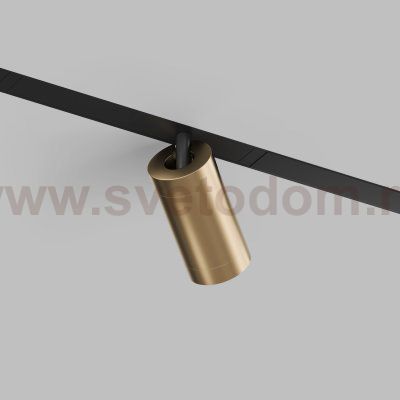 Светильник на шине Denkirs DK8010-BG SMART SPOT