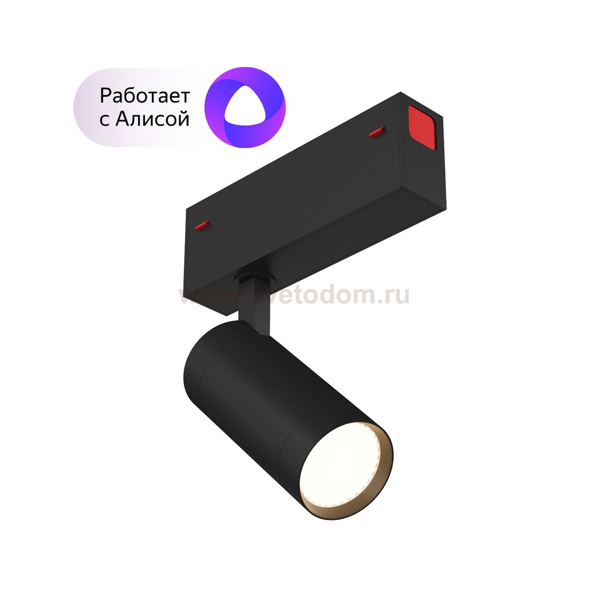 Светильник Denkirs DK8010-BK