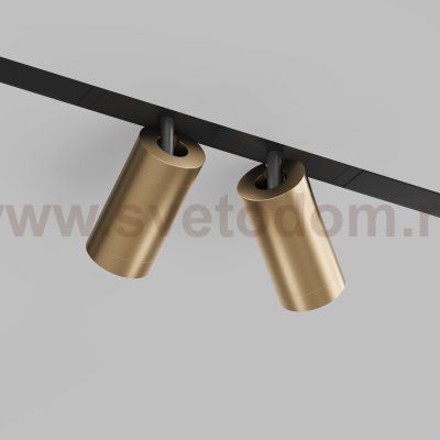 Акцентный светильник Denkirs DK8012-BG
