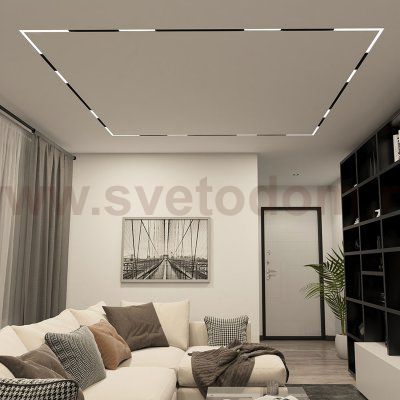 Светильник на шине Denkirs DK8014-BK SMART LINEAR